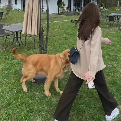 少年泰坦出击第三季